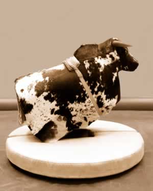 mechanicalbull